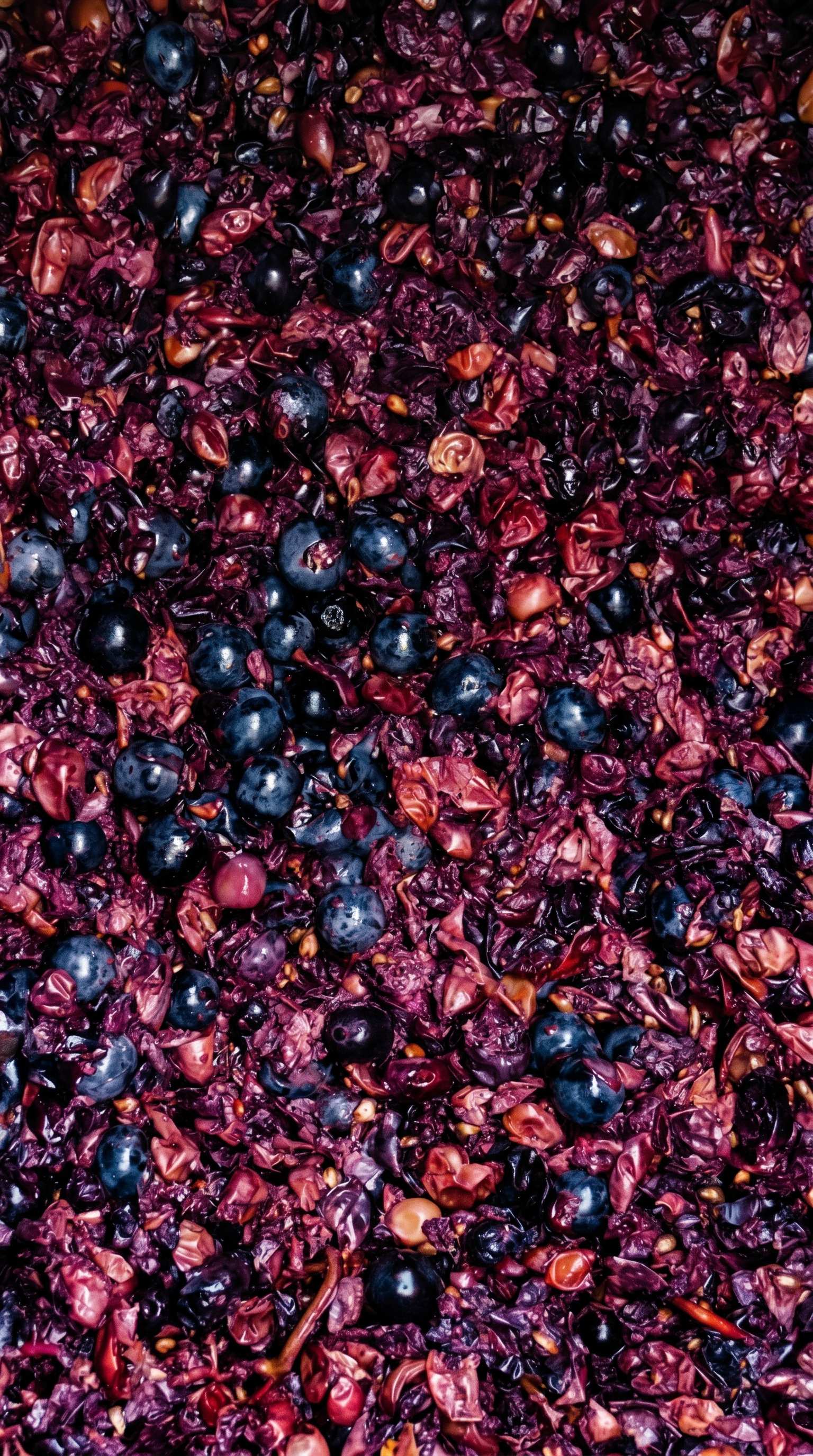 Pressed grape skins and seeds