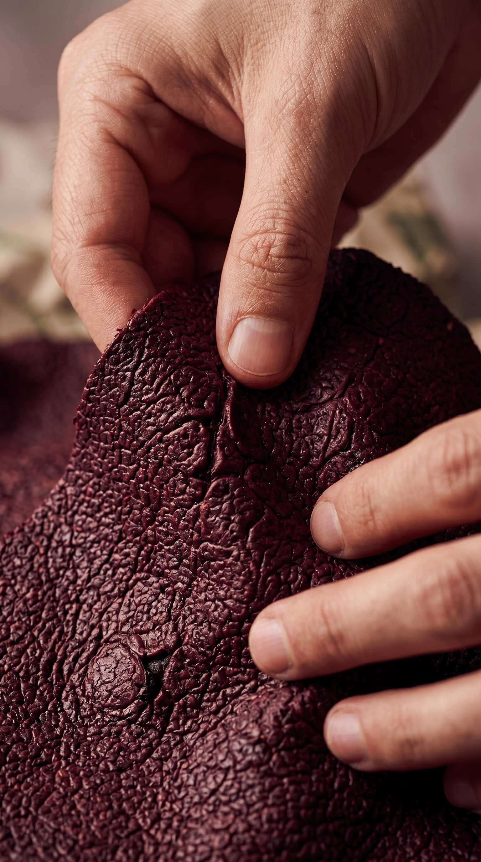 Hands in grape pomace during winemaking